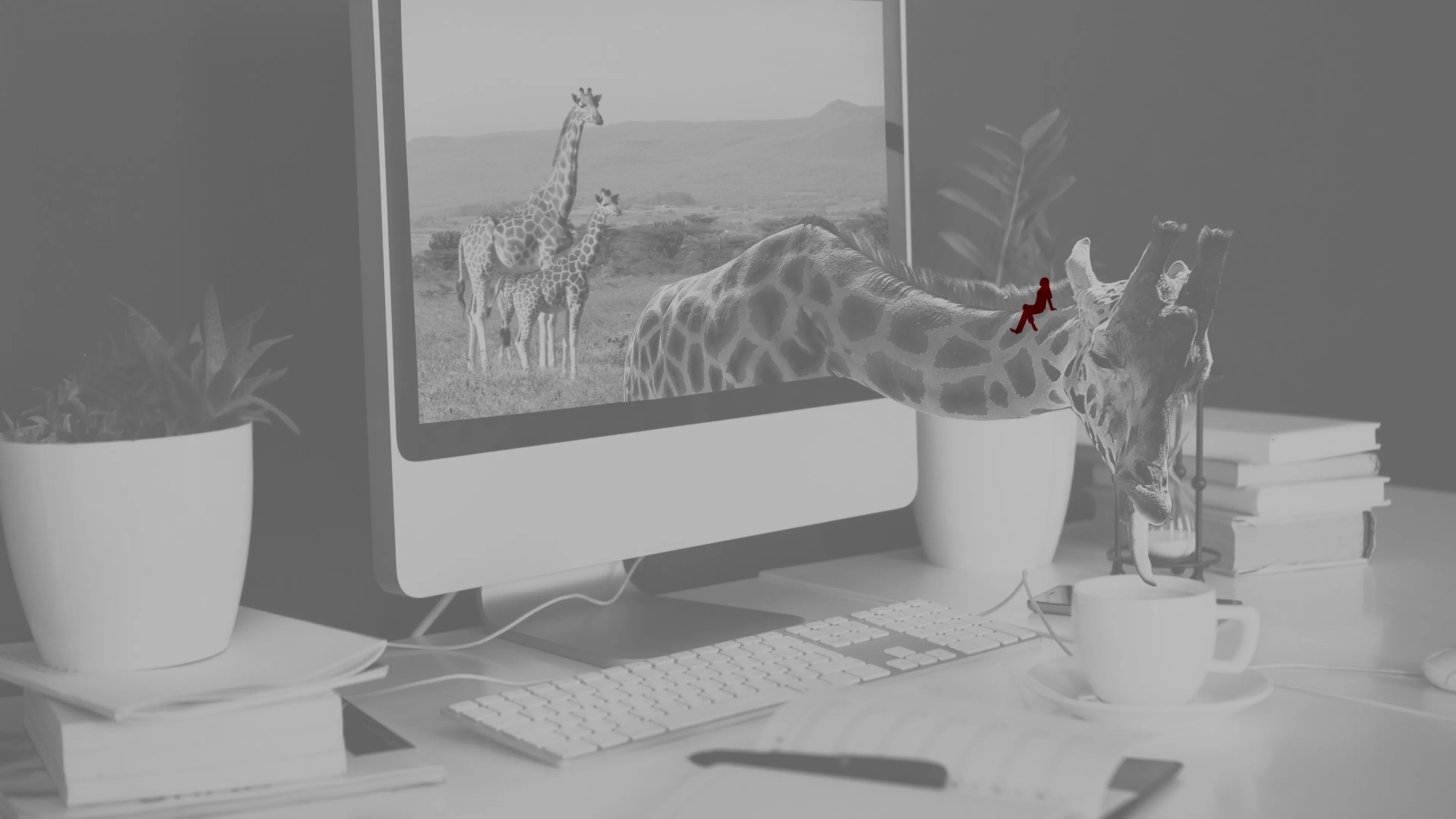 メインビジュアル